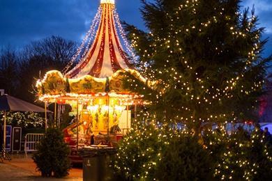 Weihnachtsmarkt in Hasselt im Jahr 2026 besuchen? Termine und Winterland-Spaziergang