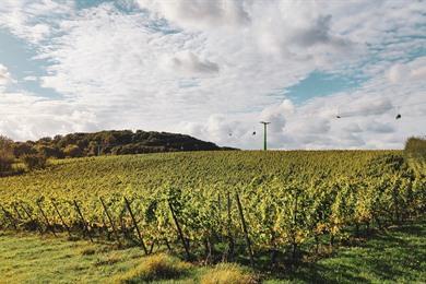 Wanderung zwischen Rodeberg und Zwarteberg in Entre-Deux-Monts