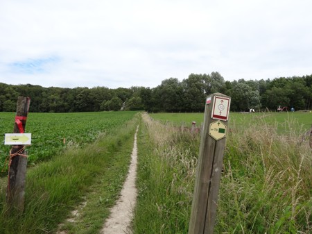 GR Markierungen